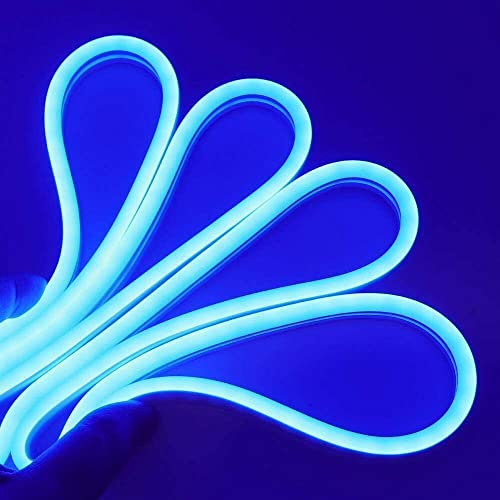Partenopea® Striscia Strip Led Effetto Neon Flessibile e Tagliabile Tubo 5 Metri DC 12V (ALIMENTATORE NON INCLUSO) Impermeabile IP65 da Esterno e Interno Modellabile (Blu)