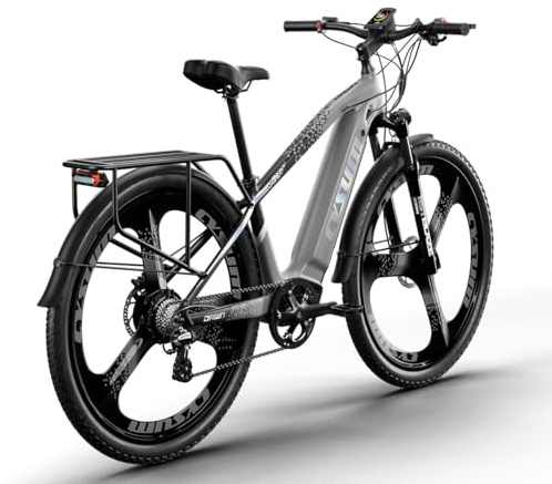 PRASHANT Speedy Mountainbike 29 Zoll MTB Fahrrad für Erwachsene Mann Frau, Pendler City Fahrrad mit hydraulischer Scheibenbremse (grau-1)