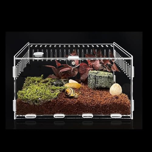 Topspitgo Terrario con lumache in acrilico trasparente, per il trasporto di terrario, per lumache, ragni, geco, criceti, serpenti, tartarughe, terrario, rettili portatili, insetto feeding (30 x 20 x