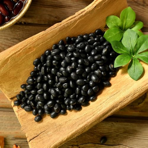 semillas de frijol negro frijoles de balcón resistentes, resistentes al invierno semillas orgánicas medicinales jardín decoración balcones 300pcs