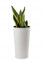 HowHomely Blumentopf Gross Hoch 47 cm mit Pflanzkübel Einsatz 26 cm Durchmesser - Weiß Pflanzkübel Groß aus Kunststoff für Deko Wohnzimmer Garten oder Terrasse