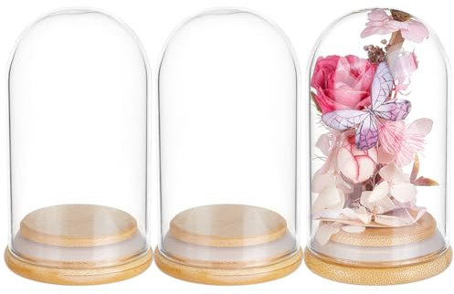 BENECREAT 3Pcs Dome Decorative Jars, 10.3x6cm Glass Display Dome Cloche Glass Bell Jar with Solid Wood Base for Flower Storage, Specimens, Crafts Decorations