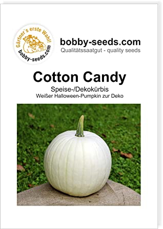 Bobby-Seeds Kürbissamen Cotton Candy Portion