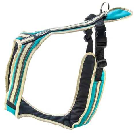 Safety Führ- und Zuggeschirr | Mantrailing | Canicross | Zughundesport | Alltagsgeschirr | Führgeschirr (Südsee-Türkis, SM - 18-22 Kg)