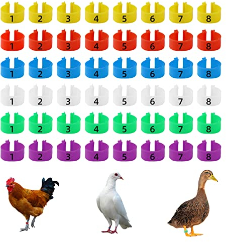 CYWVYNYT 48 Stück Hähnchen Beinringe Mehrfarbige Hähnchen Identifikation Beinbänder Nummerierter Clip an Geflügel Beinringen für Gamefowl Truthahn Ente Gans Guinea (16mm)