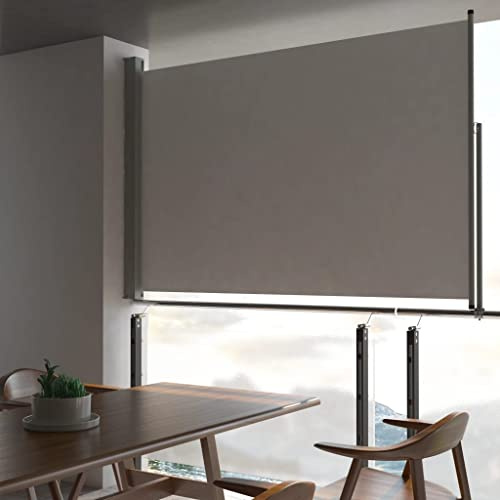 Ausziehbare Seitenmarkise 160 x 300 cm (H x L) ausziehbar Blickdicht, Sichtschutz & Windschutz Sonnenschutz für Balkon & Terrasse, Seitenrollo mit Wandhalterung - Grau