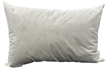 Daunenbettenfabrik Federkissen ca. 35x50cm Kissenfüllung, Innenkissen, Kissen 360g Füllung Füllkissen/Federkissen/Sofakissen deutsche Produktion (35 x 50 mit Federfüllung)