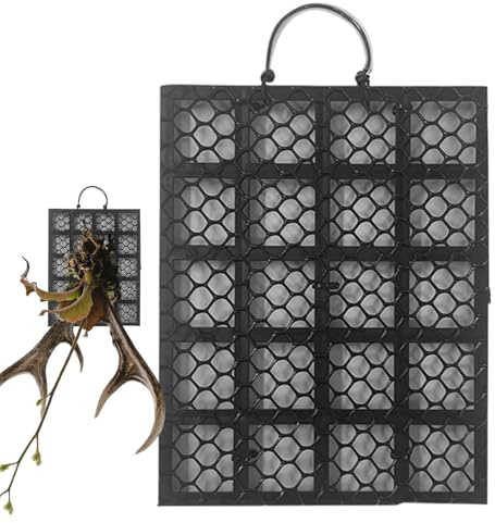ETUCYNG Staghorn Kit de montage fougère | Support pour planche de plantation murale en bois de cerf – Orchidées platycérium Montage Décoration d'intérieur pour jardin, intérieur, extérieur, bureaux