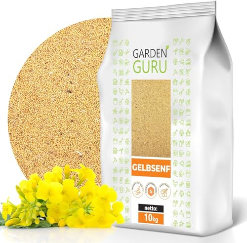 Gelbsenf 10 kg ganze Körner weißer Senf ganz Bienenfreundlicher Gründünger gelb Verbesserung der Bodenstruktur, Unkrautbekämpfung, Erosionsschutz, Nutzen für Bienen, Pflanzenschutz