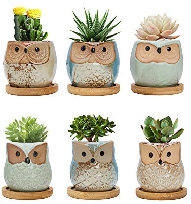 FORAGIFT Owl Succulent Pots, 6CM Cute Owl Cactus Pots Animal Small Plant Pot with Drain Hole and Bamboo Tray, and Great for Home Office Decor, Set of 6 (Plants Not Included)