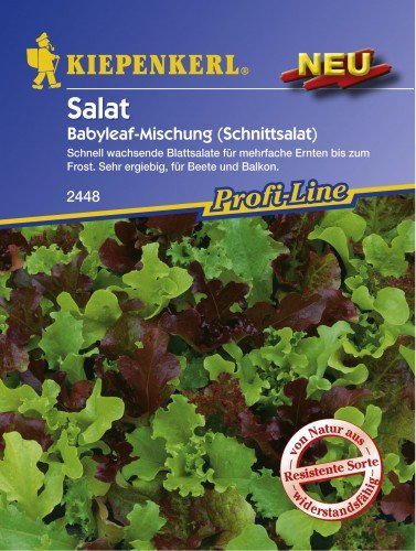 Kiepenkerl Pflücksalat Salat Babyleaf-Mischung