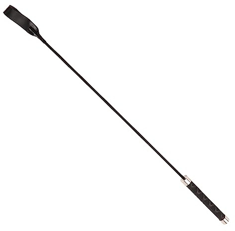Fouet de Dressage pour Animaux de Compagnie, Outil Flexible et Durable pour Dressage de Chevaux et Chiens, Plastique renforcé de Fibres Noires, 26.38 Pouces