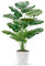 Der Rose Plantas artificiales grandes de 28 pulgadas de alto para interiores con maceta blanca para decoración del hogar, oficina, sala de estar