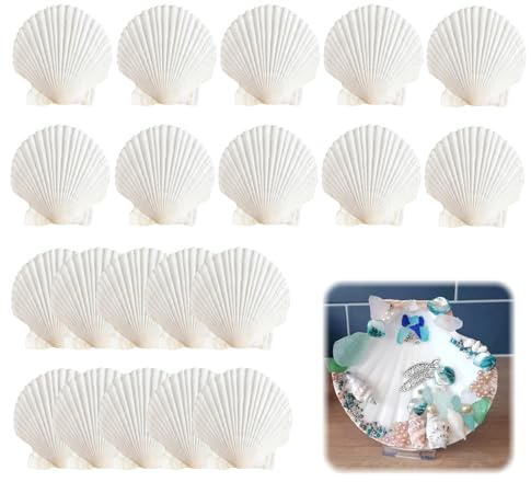 WJWINER 20 Piezas Conchas Naturales, Conchas de Vieira Natural Grandes, Blanco Conchas Marinas Naturales, para Artesanías Bodas Decoran Fiestas Temáticas de Playa, Peceras(6-8cm)