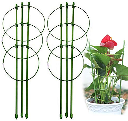 2 Pack Small Plant Support Cages, Indoor Tomato Cages Trellis, Vine Garden Plant Stakes with Support Ring for Climbing Plants Potato Flowers Vegetables Fruit Outdoor Gardening Planting(17 Inch)
