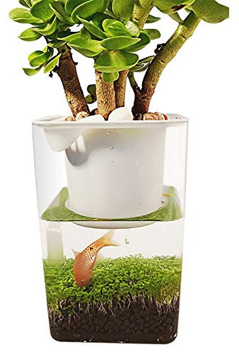 ZDJR Jardin d'eau, Aquarium autonettoyant Qui Produit de la Nourriture, Mini-écosystème aquaponique
