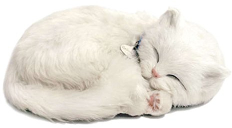 Perfect Petzzz - 4934 - Peluche - Chat Blanc