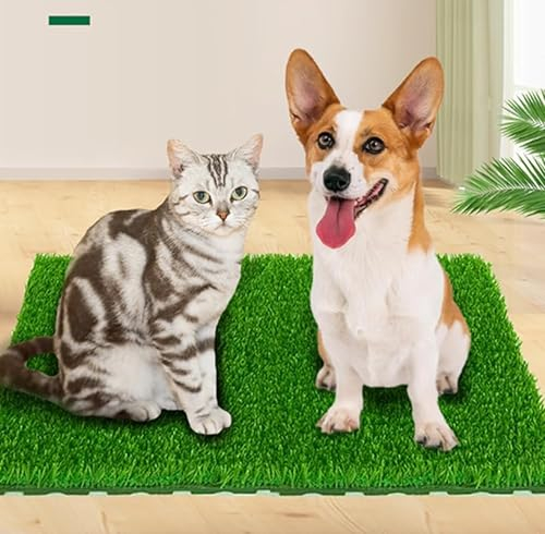 Kunstrasen Hundeklo Balkon Hundetoilette Ersetzen Rasen Welpentoilette Wiederverwendbar Training Pee Pads für Kleine Grosser ältere Hunde für Ältere, Kleine, Grosse Hunde+1 × Schwarze Faltschale