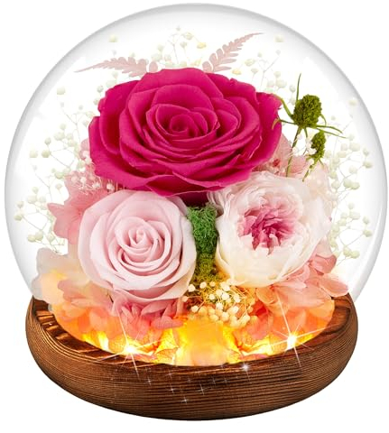 Verre Rose éternelle pour femme maman petite amie femme cadeau d'anniversaire avec LED lumière rose fleurs séchées, Saint Valentin Noël anniversaire de mariage fête des mères cadeau, Couleur rose