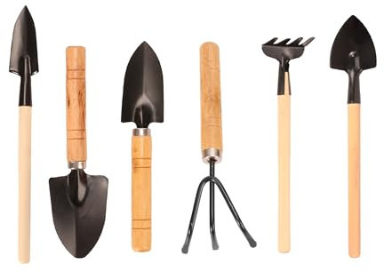 Juego de 6 Herramientas de Jardinería Mini - Pala, Rastrillo, Pala de Trasplante - Acero Inoxidable y Mangos de Madera - Ideal para Balcón, Suculentas y Regalo