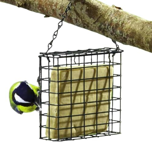 Alimentador De Pájaros Al Aire Libre Dispensador De Grasa De Pájaros De Rejilla