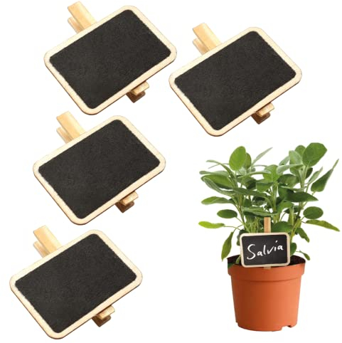 Étiquettes pour plantes de jardin, marqueurs en bois pour semelle, plaques de vase avec pince pour graines fleurs de serre Tableau de place mariage