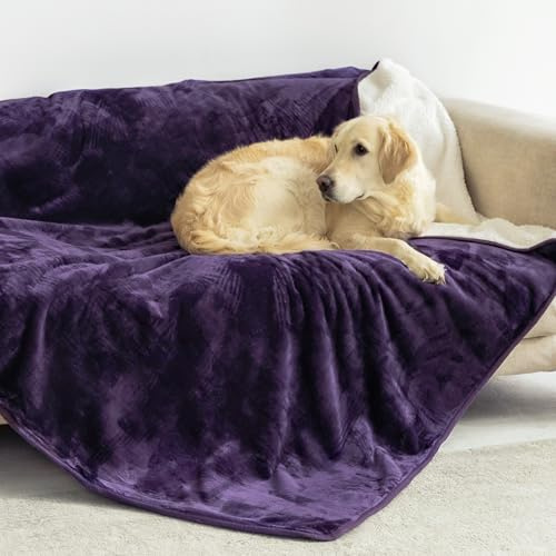 Dreamzie - Plaid Imperméable Chien 127x152 cm - Couverture Imperméable Réversible - pour Lit et Canapé Chien en Polaire Sherpa - Lavable - Violet