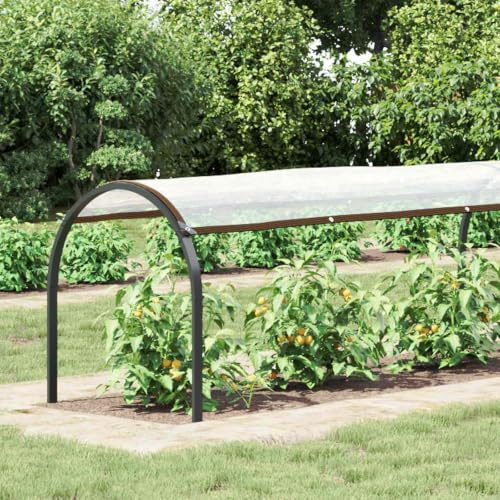 LoogCape Transparent trädgårdspresenning 20 x 1,5 m PE väderbeständig hållbar med förstärkta öljetter för våren och höstskydd, ogrässkydd, frostskydd, rabattskydd, barkmulch, upphöjd bädd