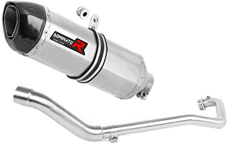 DOMINATOR Impianto di scarico Collettori Marmitta Silenziatore HP1 compatibile con GSX R 125 2017-2019