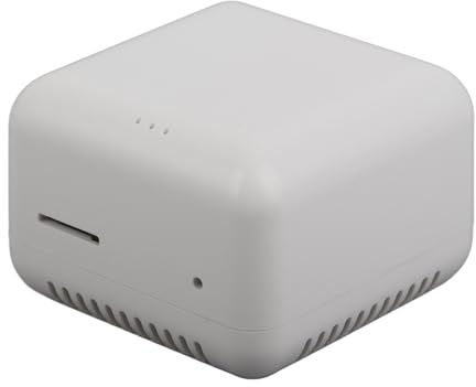 Server di Stampa USB, Server di Stampa Wireless, Interfacce Multiple, Plug and Play, Supporto Massimo 256 GB, 100-240 V, per Computer XP (Spina UE da 100 a 240 V)