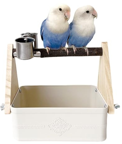Papegoja Sittpinne För Bord Matskålar För Agapornis | Undulat Matkopp Sittpinne För Ara, Conure, Undulater, Djurföräldrar, Fågelveterinärer, Djurhem, Zoo Voljärer, Tränare Och