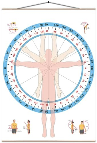 Ortopedisk goniometer för mätdiagram för ledrörelser, 150 x 210 cm, perfekt för sjukhus och klinik