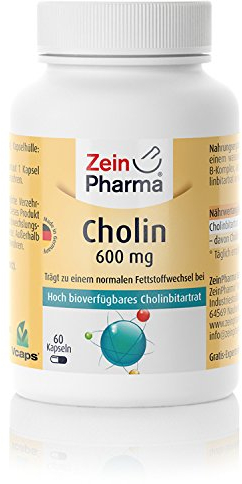 ZeinPharma Cholin 600mg, 60 Kapseln (Monatspackung) für einen normalen Fettstoffwechsel, 52 g (1er Pack)