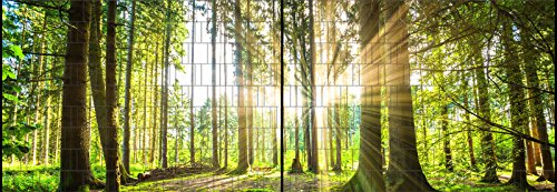 Zaundruck Riesen Panorama Zaun - bedruckte Sichtschutzstreifen für Doppelstabmattenzaun mit großen Panorama Motiv (XL (2 Zaunfelder), Wald)