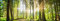 Zaundruck Riesen Panorama Zaun - bedruckte Sichtschutzstreifen für Doppelstabmattenzaun mit großen Panorama Motiv (XL (2 Zaunfelder), Wald)
