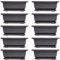 Papiivan 10 Packs Bonsai Training Pots with Tray Plastic Bonsai Plants Growing Pot for Garden Yard Living Room Balcony 16.5X12cm
