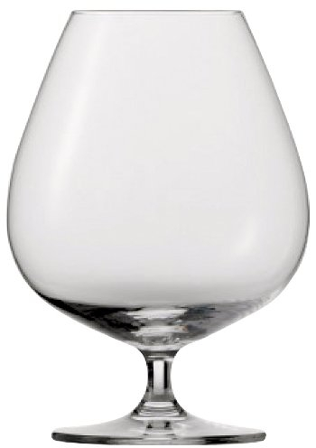 SCHOTT ZWIESEL Bar Special XXL Cognac Glass (Set of 6), Bar Glasses for Cognac, Dishwasher-Safe Tritan Crystal Glass, Made in Germany (27 Ounce)