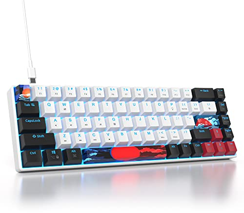 Ussixchare 60 Percent Gaming Keyboard 68 Keys Mechanical Keyboard LED Backlit Compact Wired Keyboard with Red Switch for Windows PS4/5 Xbox Gamer(Black-White)