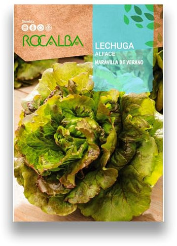 Semillas Lechuga Variedad Maravilla de Verano | Sobre de 10 GR | Cultiva tus semillas de lechugas maravilla de verano para tener las mejores lechugas frescas en tu mesa | Rocalba