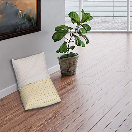 Sleepys Cuscino in Lattice Naturale, 74x42 Alto 10 cm saponetta Forato con Fodera in Jersey 100% Cotone - Guanciale Lattice TALALAY Anallergico