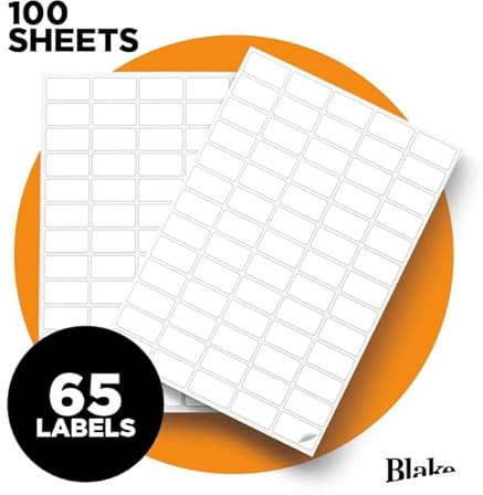 Blake PFW | 100 feuilles – 65 étiquettes par feuille A4 (6500 pièces) | étiquettes autocollantes à imprimer | compatibles imprimante laser | pour expédition, bureau, organisation | LAB A41-65PE