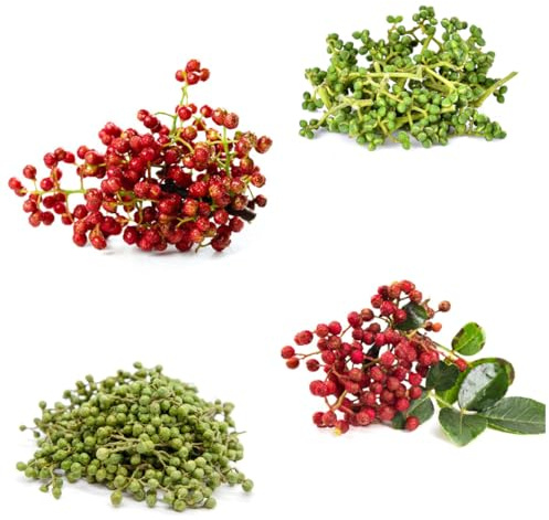 semi di peperone resistenti - peperone - cucina giardino, giardino sul balcone rare, biologici 70pcs
