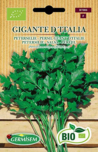 Germisem Petersilie GIGANTE D´ITALIA