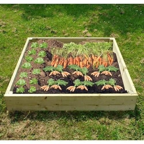 The Garden TImber Company Wooden Raised Veg Beds Pack - 1m x 1m