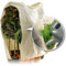 Bio Green Premium Kübelpflanzensack Window Jumbo | 200 x 240cm | Frostschutz & Winterschutz | Schutzhülle Kübelpflanzen +Sichtfenster | Pflanzenschutz