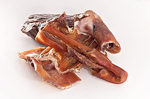 mascota vital – Peau de tête de bœuf pour Chiens – Snack Naturel à mâcher séché, Extra Dur pour Un Plaisir de Mastication Longue durée, favorise Le Soin des Dents et la Musculature masticatoire