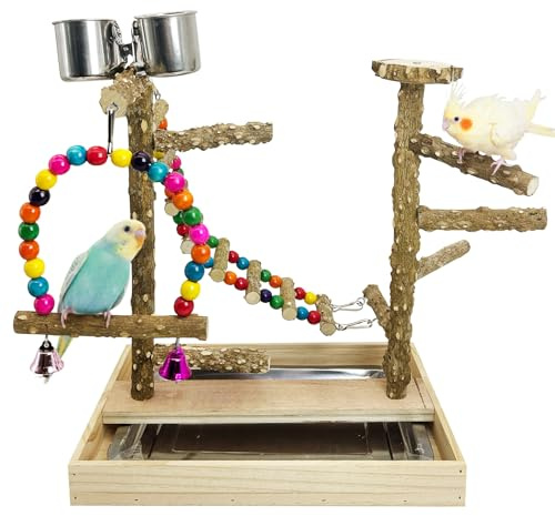 PINVNBY Bird Playground Natural Wood Bird Play Stand with Climb Ladder Swing Tray and Stainless Steel Cups Cage Accessories for Conure Cockatiel Parakeet Lovebird