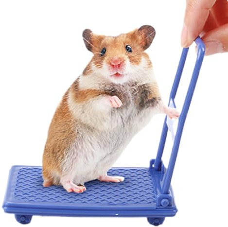 Giocattoli per criceti, carrello pieghevole con ruote, forniture per criceti, per roditori, animali domestici, bambini, giochi a casa, gabbia, oggetti di scena fotografici