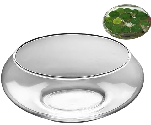 Bol en verre pour plantes, pot de jonquille peu profond | Bol rond et large pour plantes d'intérieur, poissons, bonsaï, fleurs, plantes grasses, décoration de mariage