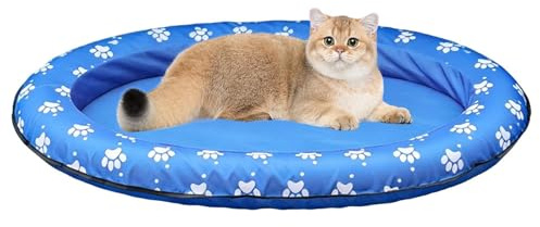 Generisch Coussin de natation pour chien avec trou de drainage, jouet imperméable pour animal de compagnie